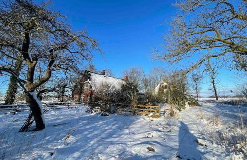 Reetdachhaus, Wilstermarsch - Foto 18
