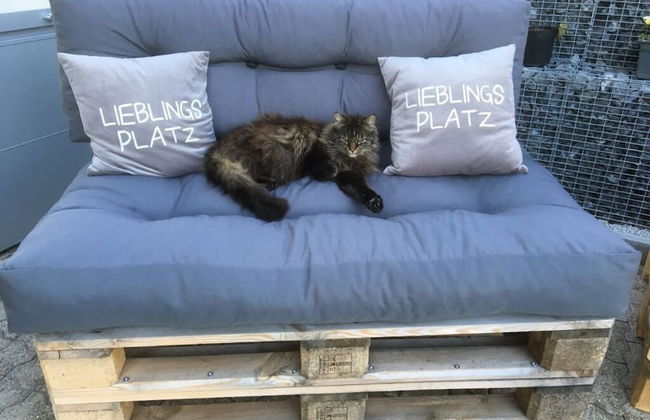 Farm in the Agerital - Foto 34