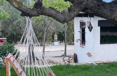 Aire Libre - Foto 20