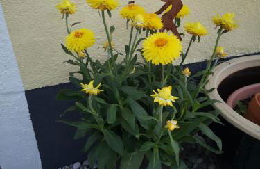 Ferienwohnung am Pilsensee - Foto 6