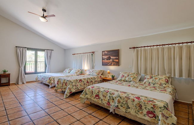 Fazenda Realeza - Foto 6