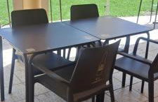 Olivar de Gines a un paso de Sevilla - Foto 47