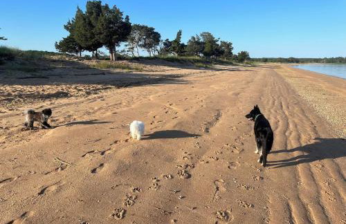 Waterfront paradise - Foto 14