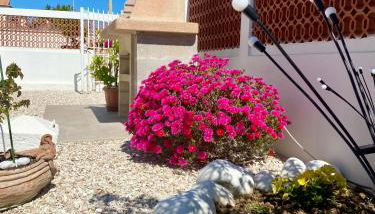 Maison Armandì - Foto 3