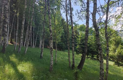 Folwark Noclegowy w Nowej Morawie - Tomaszówka na wys 600 m - Foto 25