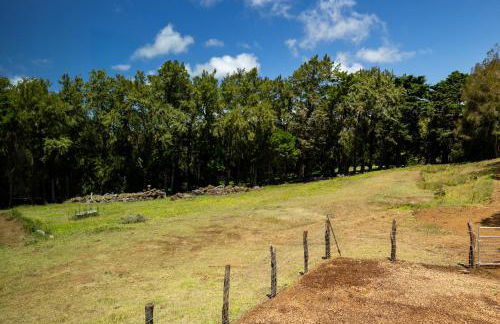 A Cozy Cabin In The Country - Foto 8