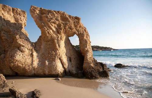 Villa Castello - Foto 48