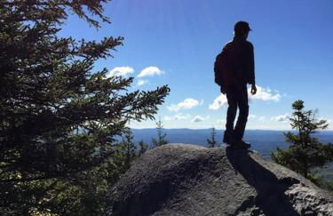 Luxury Farm Stay-Bonds Corner Bungalow-Wolf Pine Hollow - Foto 48