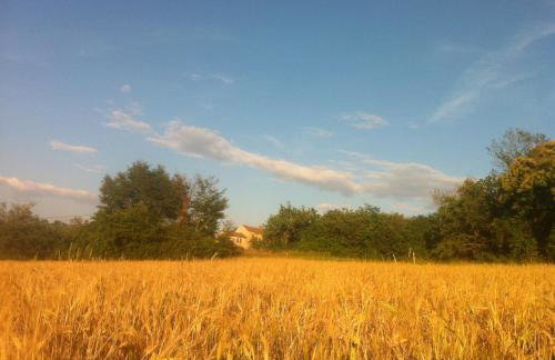 Tenuta Paljari - Foto 36