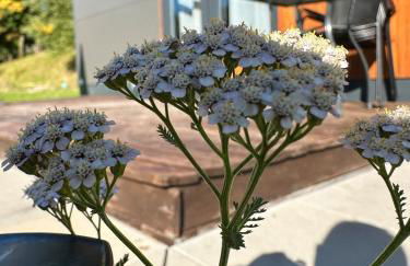 Haus Heike - Foto 14