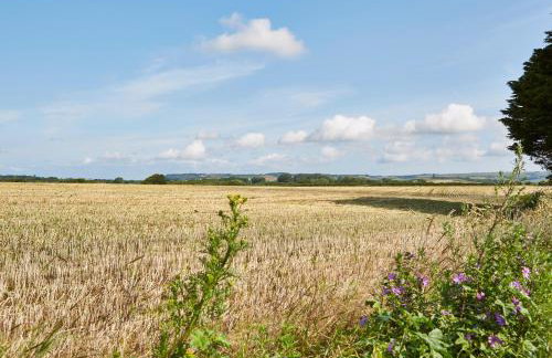 The Old Barn at Moor Farm - Foto 24