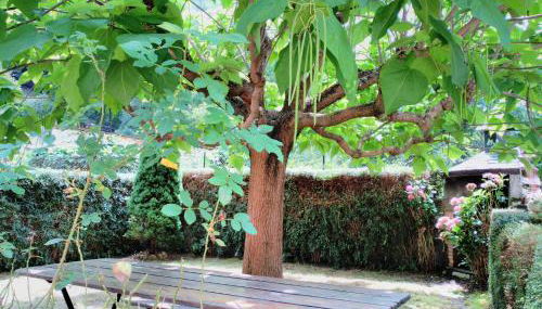 Casa Les - Photo 4, Garden