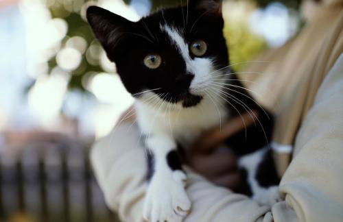 Ferienhof am Ipf - Foto 9