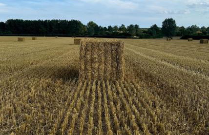 The Old Stable - Foto 8