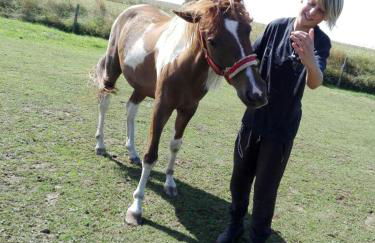 Reiterhof vom Litzlbach - Foto 54