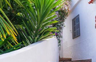 Teide Eco Harmony - Foto 17