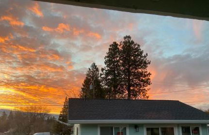 Newer Cozy Guest Cottage with Saltwater Spa! - Foto 19