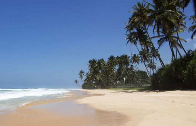 Family Beach Villa Located On An Incredible Beach - Photo 10