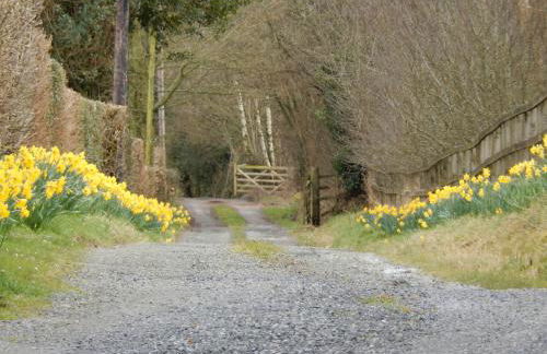 Alltybrain Farm Cottages and B&B - Foto 33