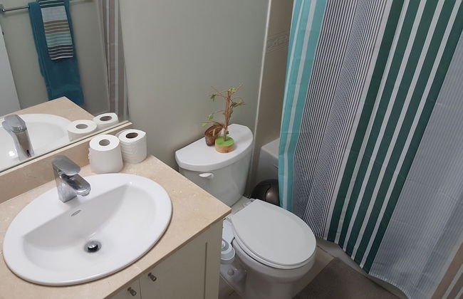 Custom Luxury Suite - By Elite Suites - Photo 47