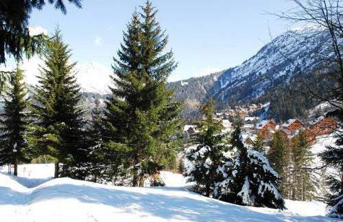 Appartement Le Pic Blanc - Foto 3