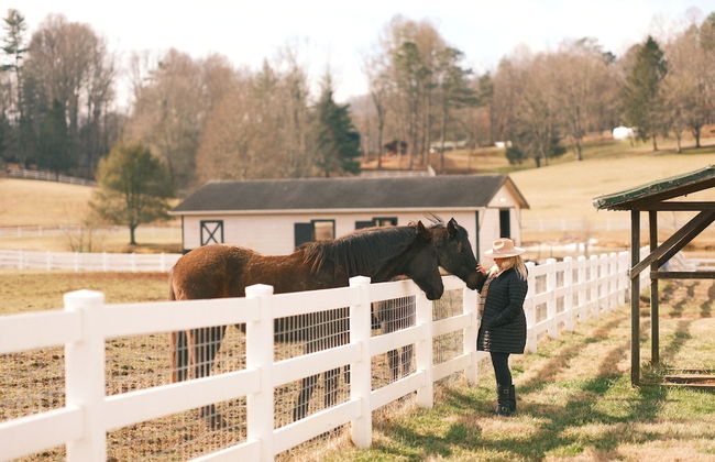 The Horse Shoe Farm - Foto 61