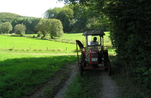 Eifelferienkurth - Photo 71