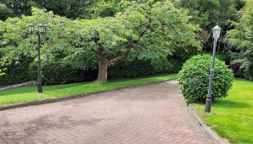 Torrent Cottage - Foto 4