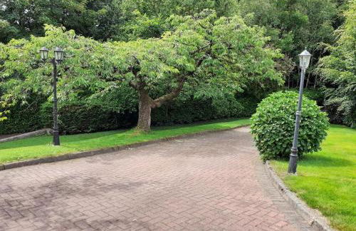 Torrent Cottage - Foto 4