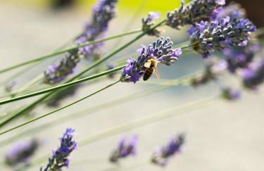 Casa Fornace 28 - Photo 10