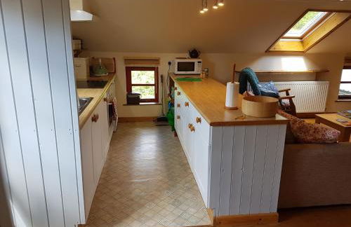Seren Loft - Cynghordy, Llandovery - Foto 10