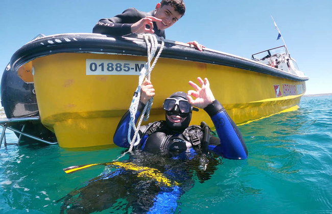 Bautismo de buceo en Puerto Madryn - Foto 5