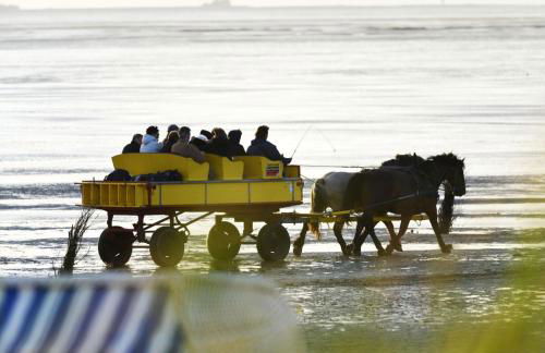 Haus Eschenhof EH02 - Foto 34