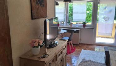 Wasgauer Felsen und Seen - Foto 2