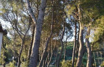 STUDIO meublé indépendant chez l'habitant - Foto 20