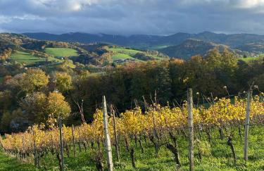 Ferienwohnung Hella - Foto 89