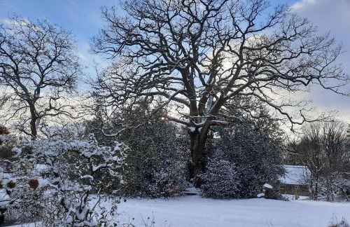 Dammann's Hof - Foto 32