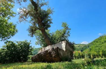 Casa Vacanze Gli Allori - Photo 17