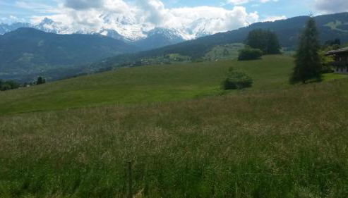 Rez de chaussée très calme vue Mont-Blanc - Foto 5