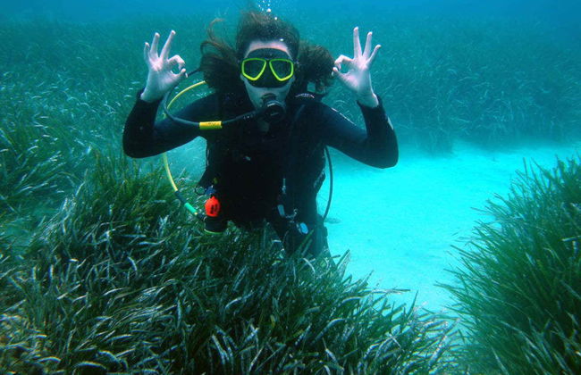 Bautismo de buceo en la costa de Ciudadela - Foto 5