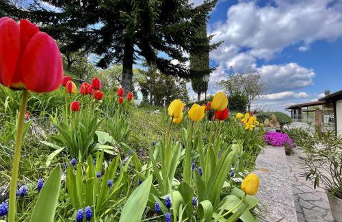 Mazzetti Country House-Vita in campagna con giardino - Foto 25