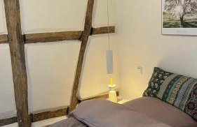 Ferienwohnung Heppenheim mit Hund- Wohnung "Festspiele" im historischen Fachwerkhaus- das schiefe Haus - Foto 24