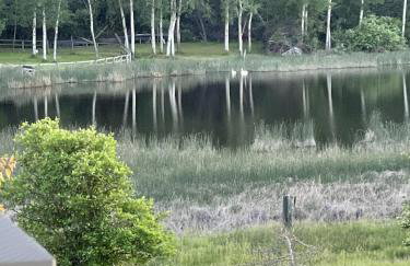 Charming 1 bedbath Suite in waterfront Cottage - Foto 16