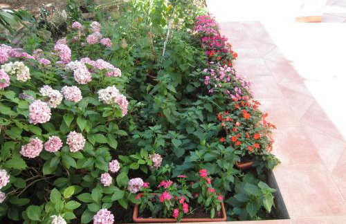 House Silvana - apartment with garden view - Photo 19