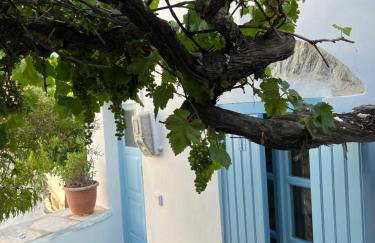 Dream House Little Villa - Amorgos - Photo 23