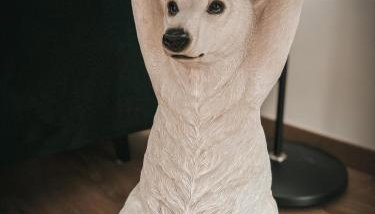 Polar Bear Apartment - Foto 2