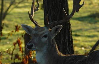 Agriturismo I Leprotti - Photo 56