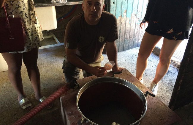 Cité de Carcassonne und private Weinprobe von Toulouse - Foto 14