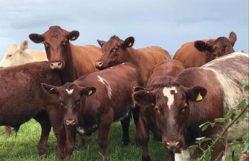 The Rectory Lacock Cottages - Foto 20