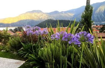 Magic Garden with Jacuzzi-Pool and Luxury Lake Como view - Foto 27